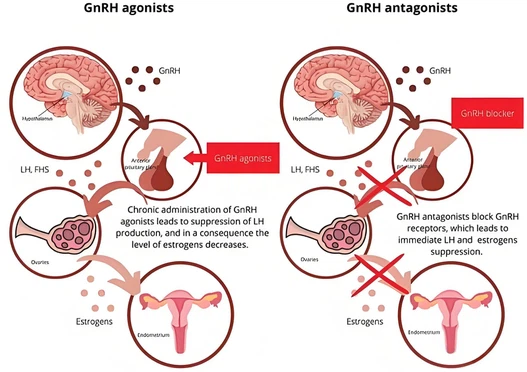 info-1600-1128 info-1600-1128