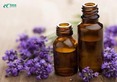 Lavender Essential Oil2 Lavender Essential Oil2