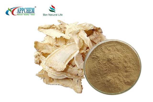Serbuk Ekstrak Angelica Sinensis
