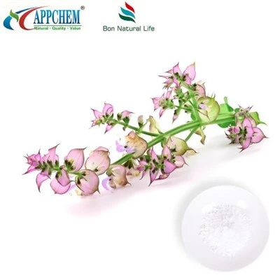 Ekstrak Clary Sage