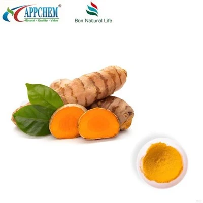 Serbuk curcumin HPLC95%; Curcuminoids; Ekstrak kunyit