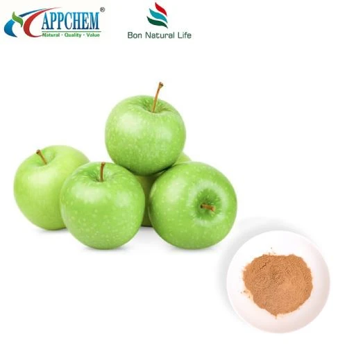 Ekstrak Epal Serbuk Procyanidin B2 Dalam Stok