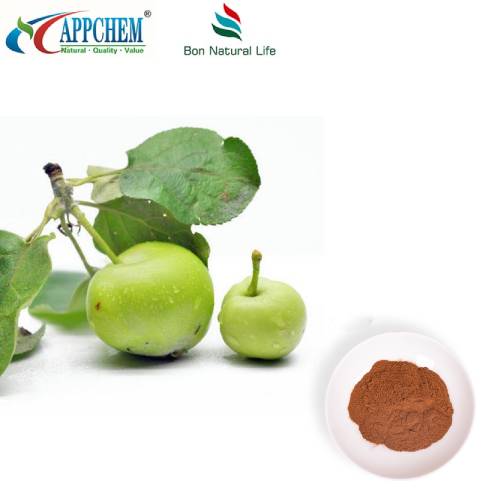 Serbuk Polifenol Epal UV70% Produk Dipatenkan