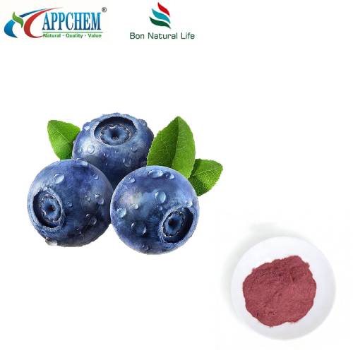 Serbuk Jus Blueberry