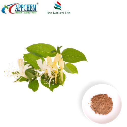 Serbuk Ekstrak Bunga Honeysuckle