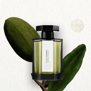 info-800-800 info-800-800