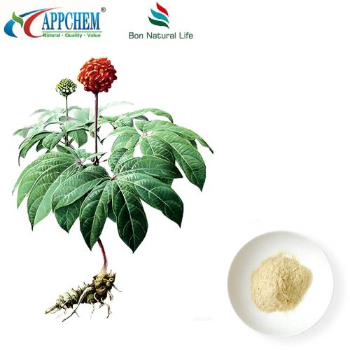 Ekstrak Radix Et Rhizoma Notoginseng