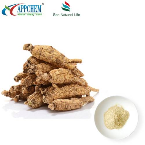 Ekstrak Panax Quinquefolius