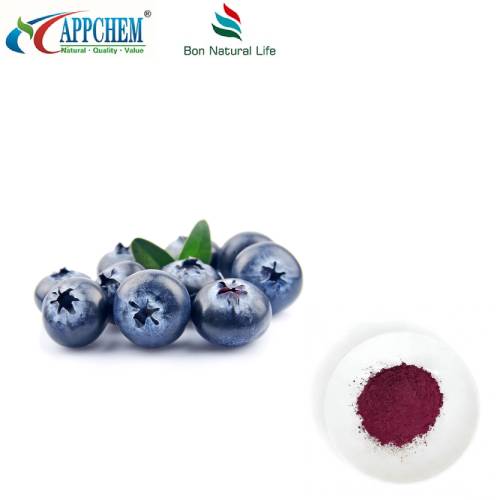 Serbuk Ekstrak Blueberry Tulen