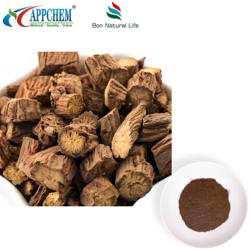 Serbuk Ekstrak Salvia Miltiorrhiza