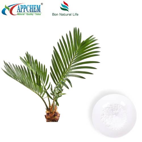 Serbuk Ekstrak Saw Palmetto