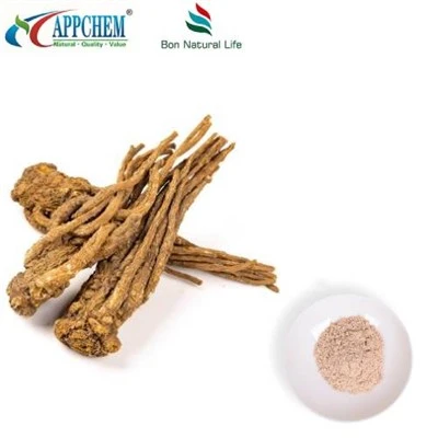 Serbuk Ekstrak Angelica Sinensis