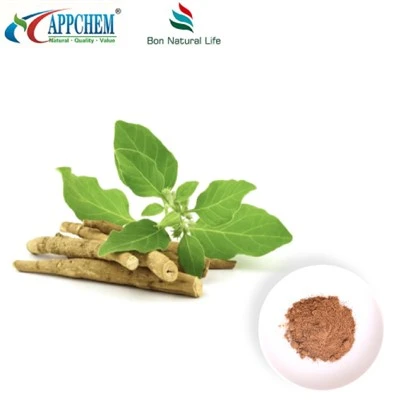 Serbuk Ekstrak Ashwagandha (Withanolides) mengeluarkan 30655-48-2