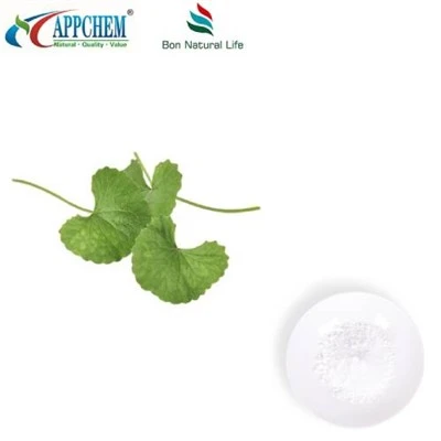 Serbuk Ekstrak Centella Asiatica