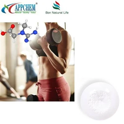 Serbuk Pukal Creatine Monohydrate