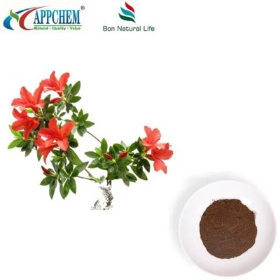 Ekstrak Daun Rhodoendron Dahurian