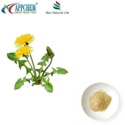 Serbuk Ekstrak Dandelion Flavonoid