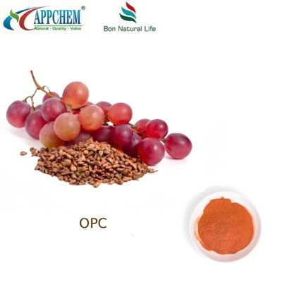 Ekstrak Biji Anggur 95 OPC