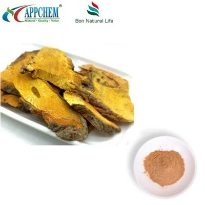 Serbuk Ekstrak Resveratrol Polygonum Cuspidatum
